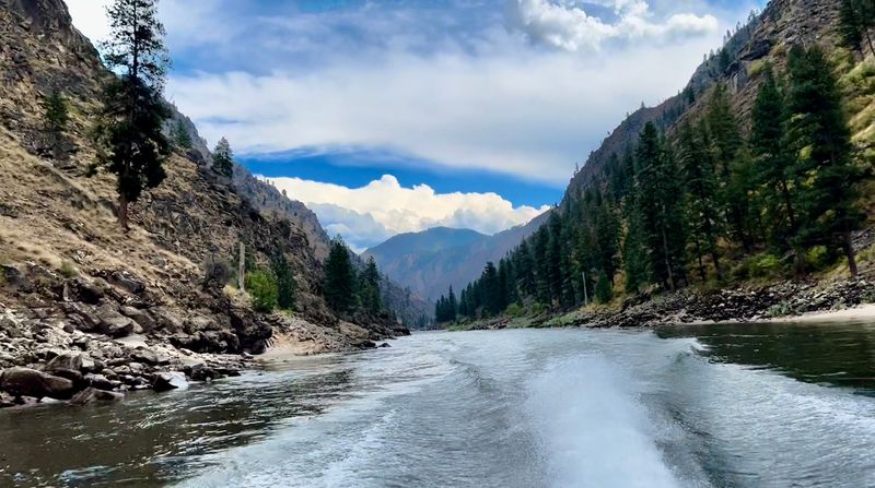 Wilderness On Every Side, Bighorn Sheep Included