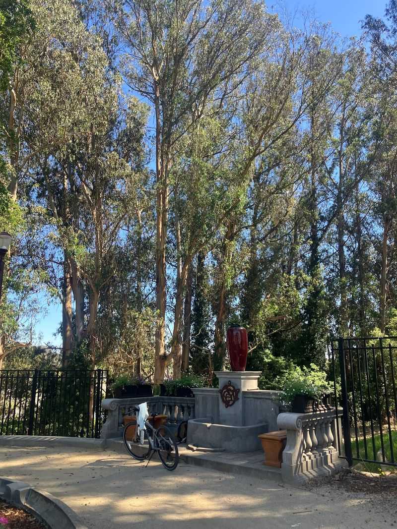 A New Park Around A Sealed Landmark