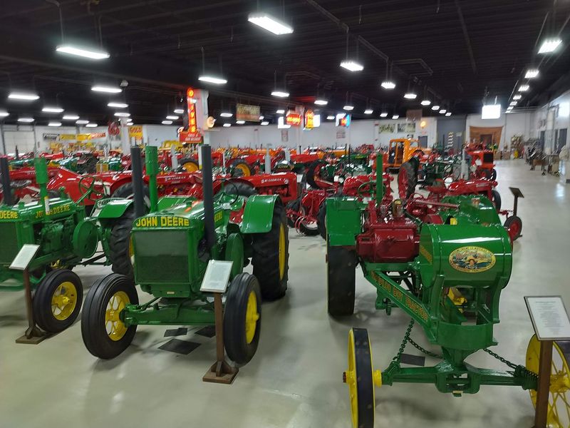 Rows Of Green Farm Giants