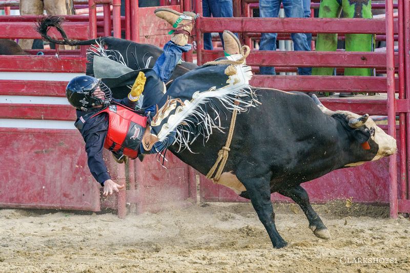 Bull Riding Brings The Biggest Thrills