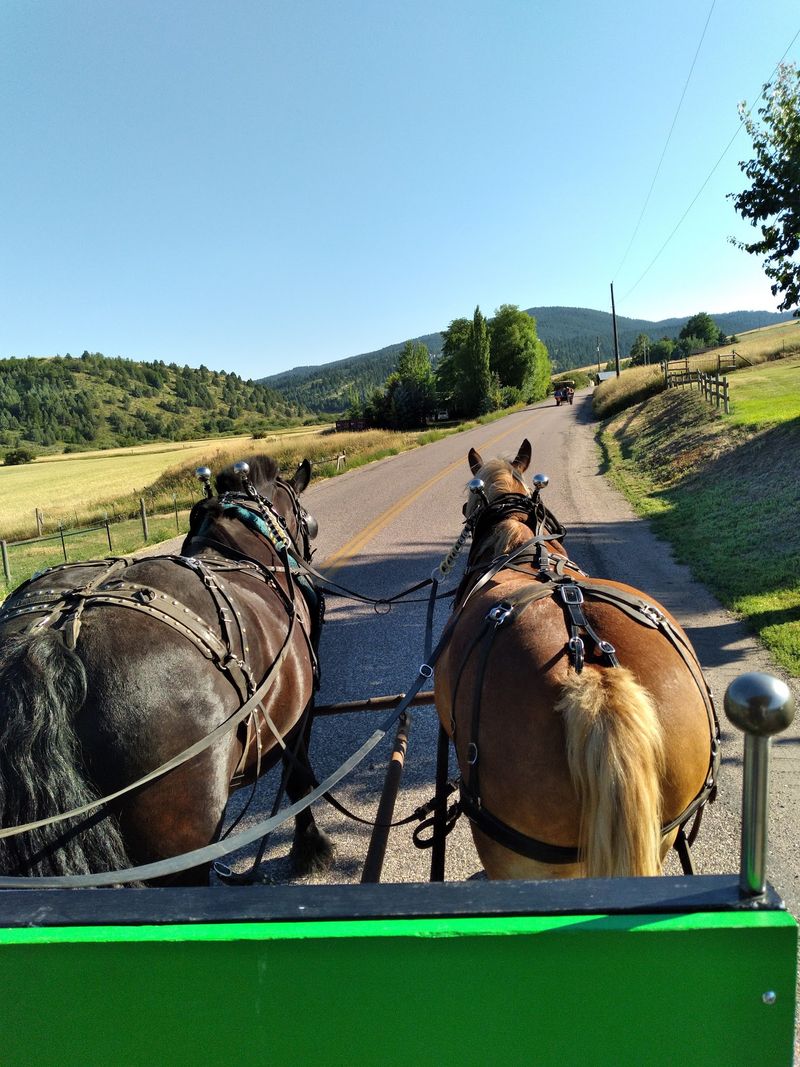Up Dempsey Creek Road