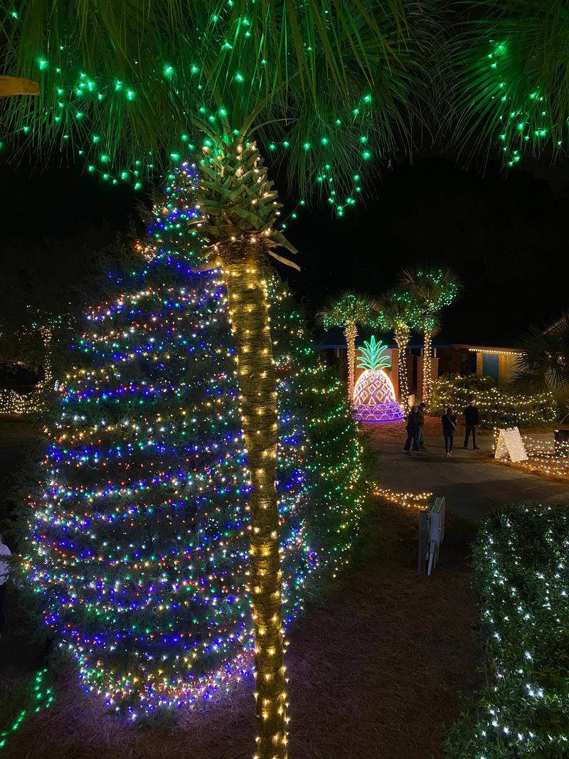 Park The Car Because Santa's Village Is Calling