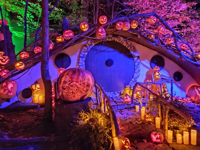 Thousands Of Glowing Pumpkins Take Over After Dark
