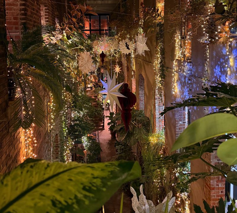 Evenings and Holidays When the Lights Take Over