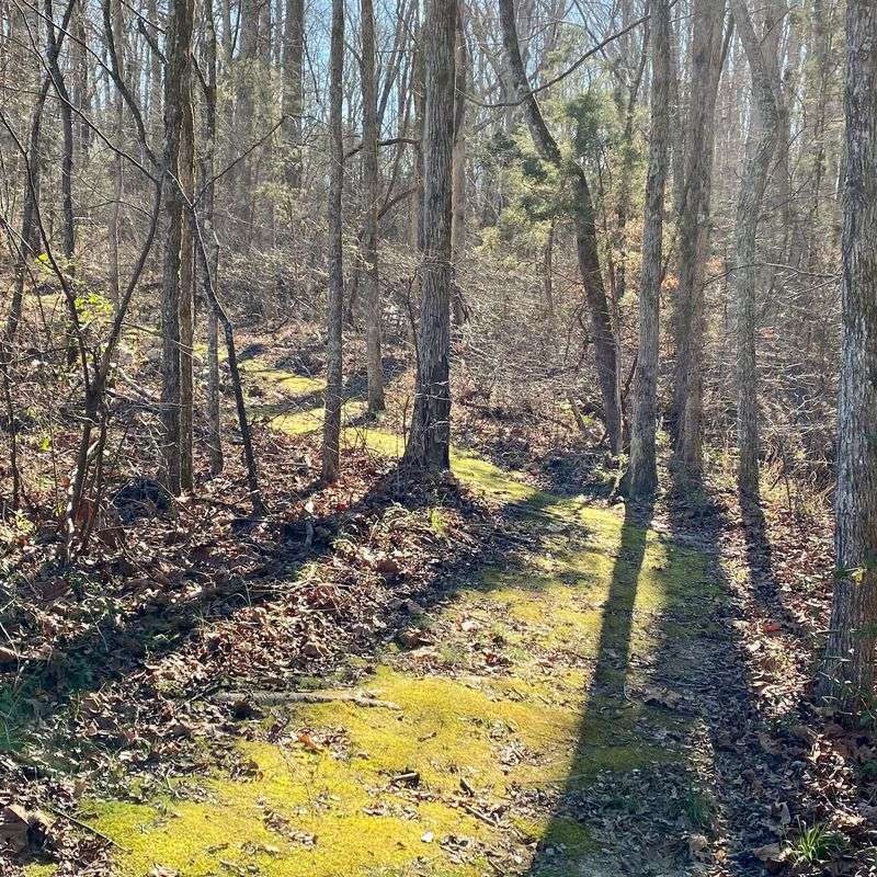 Trails Named After Commanders