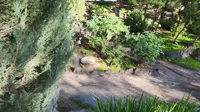 Raked Calm In The Zen Garden And A Little Mountain