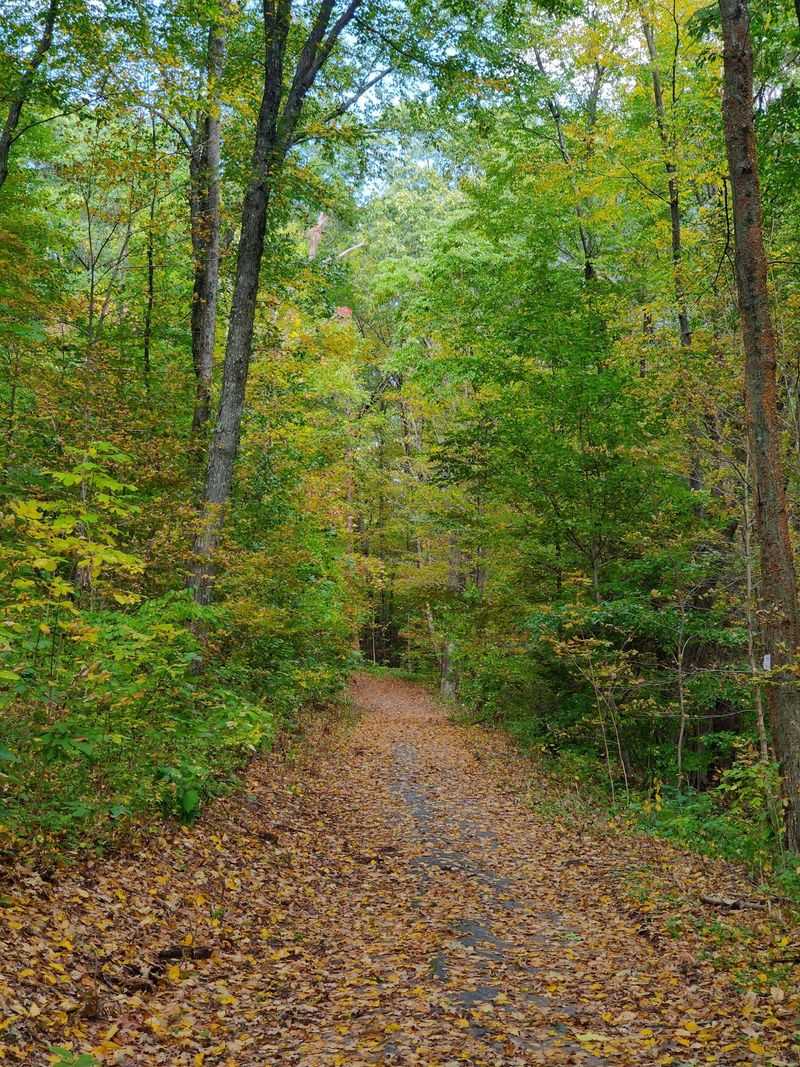 This Nearly 800-Acre Connecticut State Park Feels Almost Completely Forgotten - Decor Hint Eight Trails Means You Get To Pick Your Own Adventure