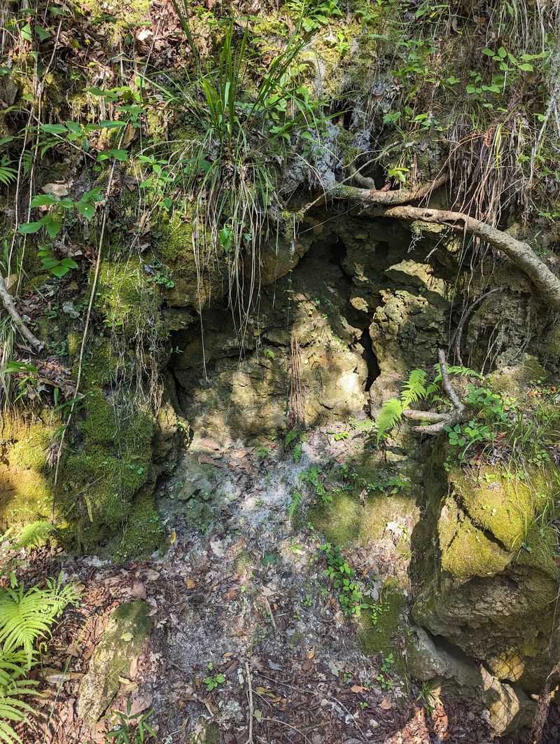 How Rainwater Carved a Hole in the Earth