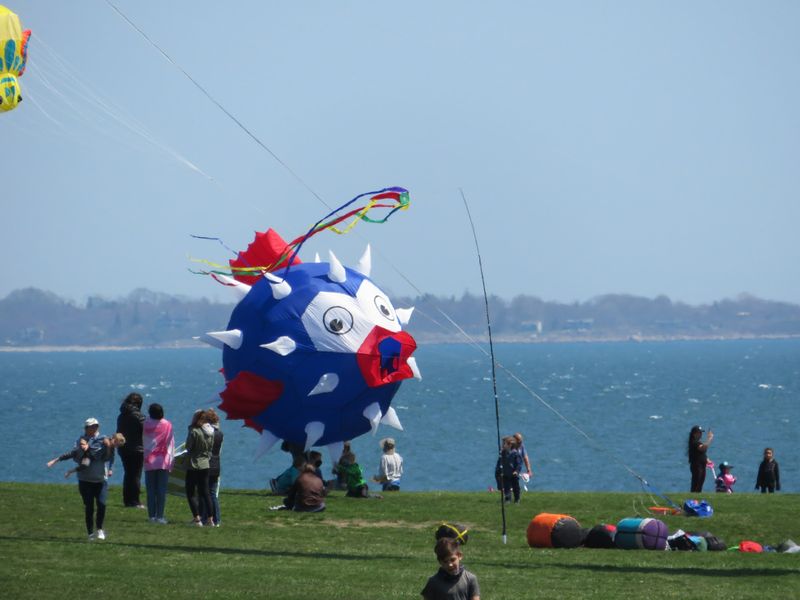 Your Old Backyard Kite Gets To Join The Big Leagues