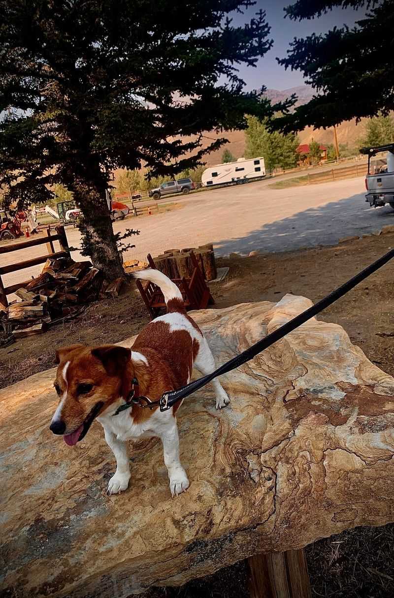 Volunteers Who Keep Coming Back