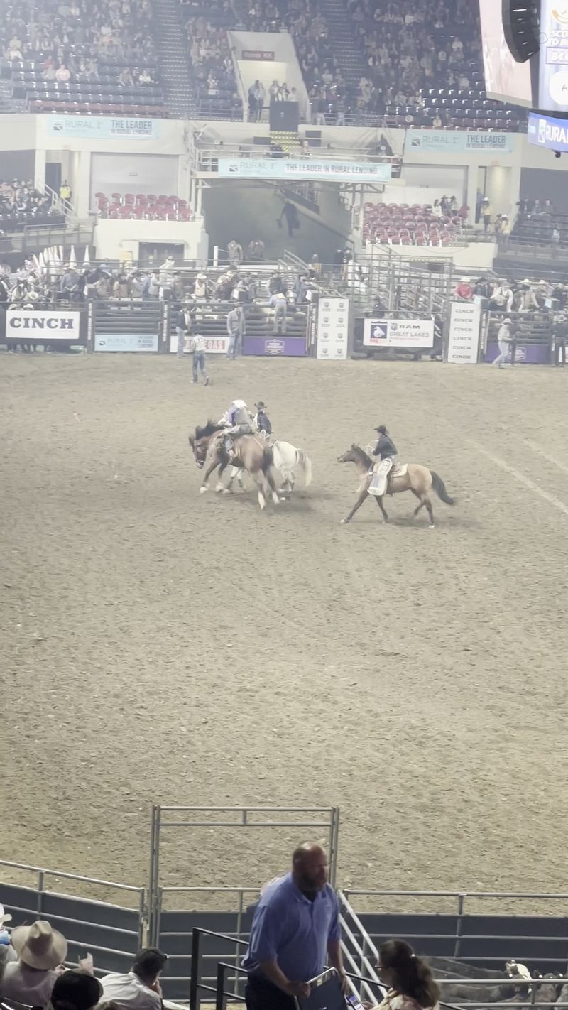 Hold Your Breath When The Bull Riders Nod Their Heads