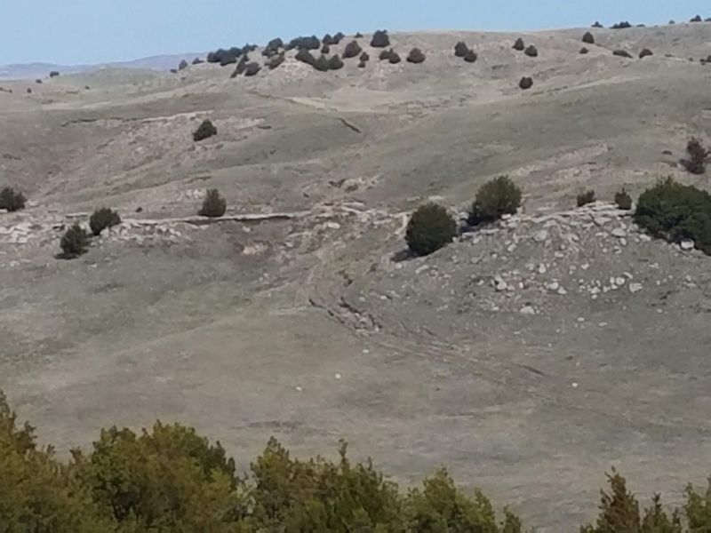 The Great Migration That Rolled Through the Platte Valley