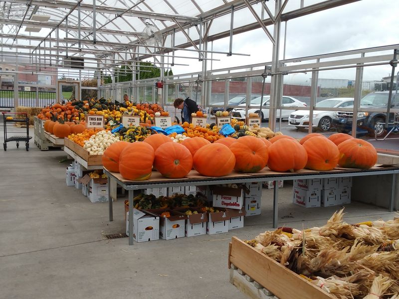 Why Holiday Bakers Stock Up On Bulk Spices And Candy At This Pennsylvania Farm Market - Decor Hint Two Maple Trees And A Roadside Produce Stand