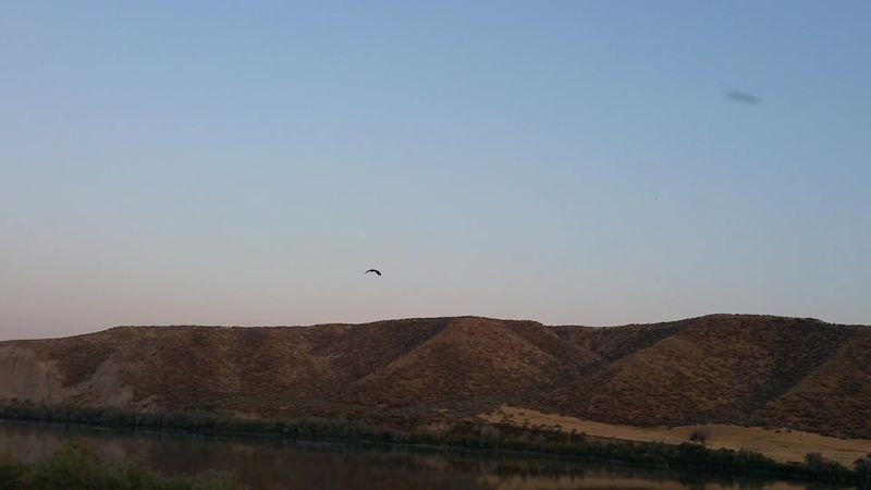 Ranger Programs Under The Stars And Among The Birds