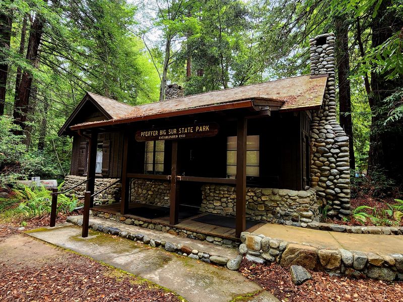 Kids Will Love The Nature Center And Its Condor Station