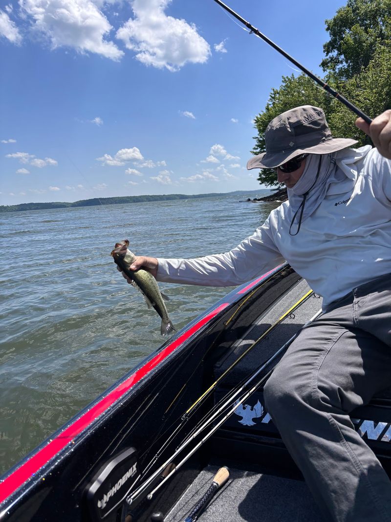The Biggest Names In Pro Bass Fishing Are Coming To Kentucky’s Lakes For An All-Star Showdown In 2027 - Decor Hint You Can Find It Faster Than A Fish Finds A Lure