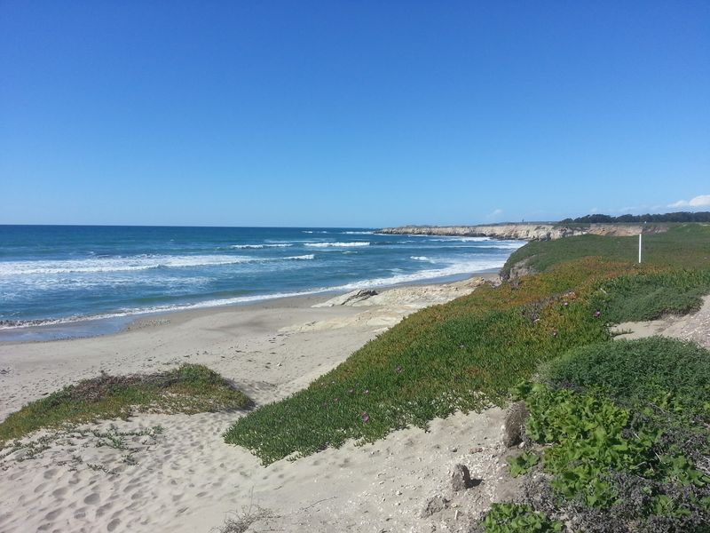 Sand Dunes, Wetlands, And Plovers Share The Neighborhood