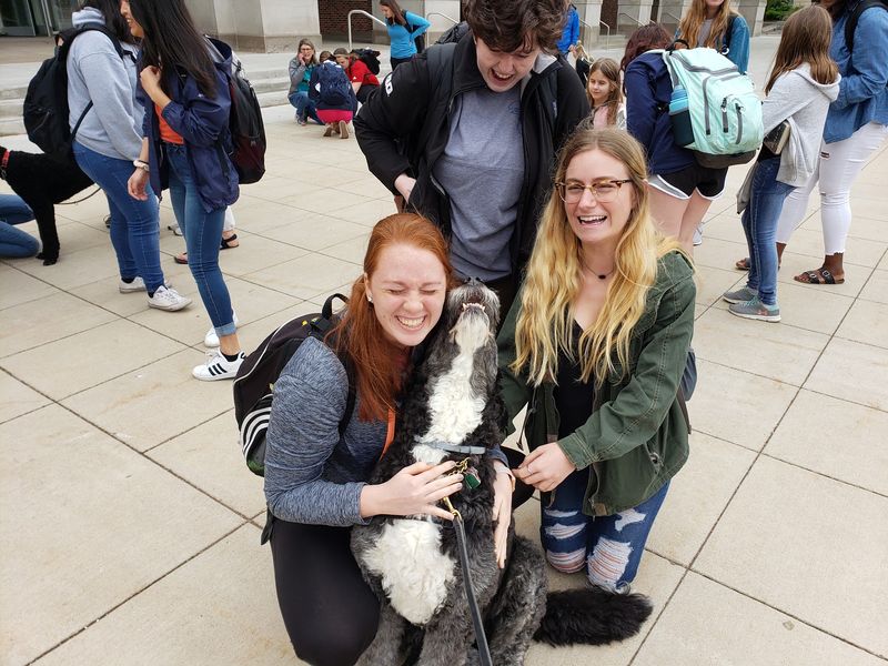 Two Decades And Counting Of Service Dog Work