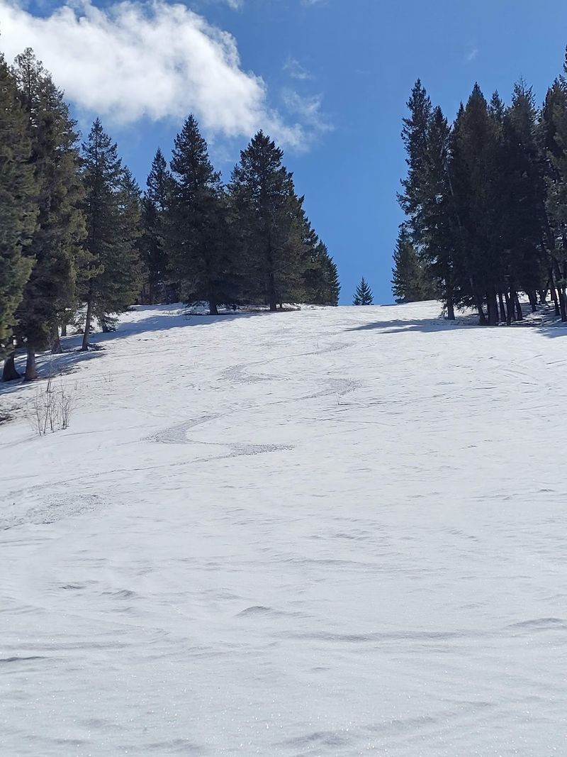 Since 1938 This Idaho Ski Hill Has Run A Single Chairlift That Families Still Ride Today - Decor Hint Prices That Feel Like A Throwback