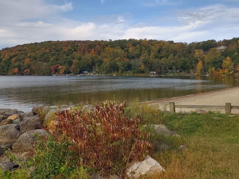 The Pond Looks Completely Different When Summer Ends