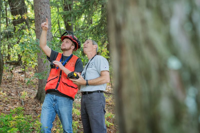 Forestry Roots That Go Back More Than A Century