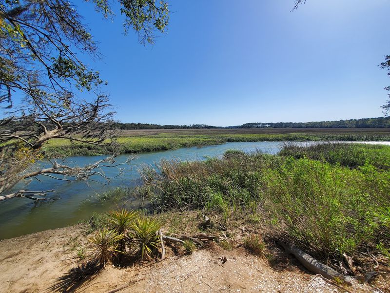 Trails That End At The Marsh