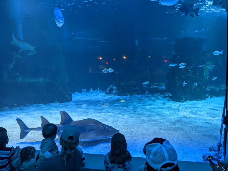 Once Known As Sin City, This Kentucky Town Is Now Named One Of The Best Historic Small Towns In America - Decor Hint Those Sharks Swimming Under Your Feet Are Very Real
