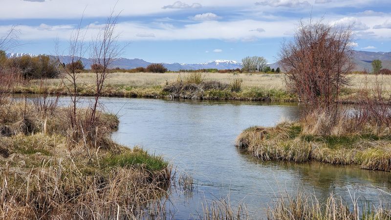 Plan The Drive, Sign In, And Let The Creek Do The Rest