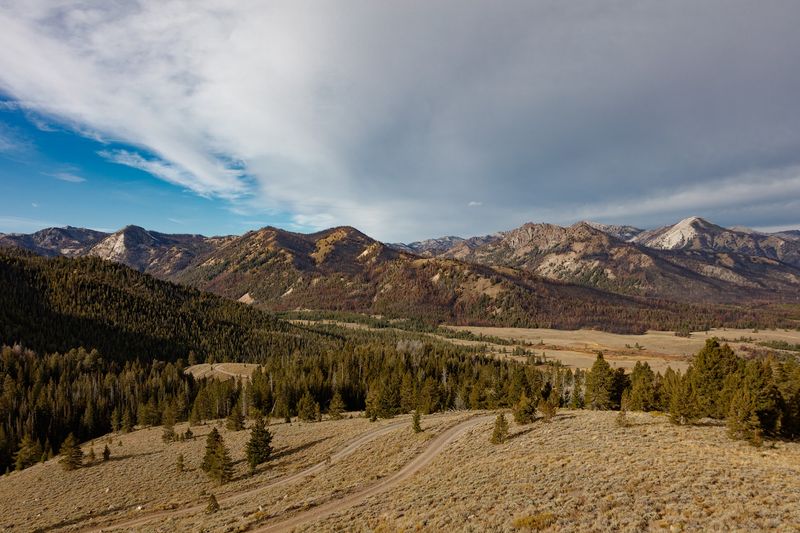 Bison Herds That Once Owned These Valleys