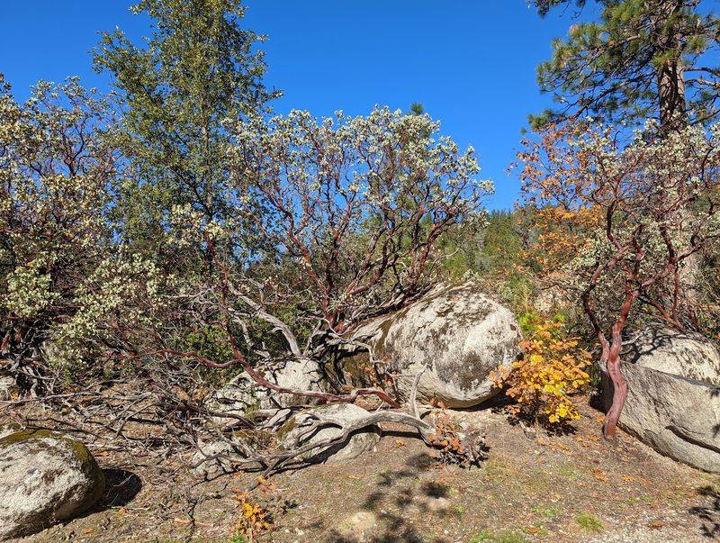 The Cliffs Were Carved During The Gold Rush Era