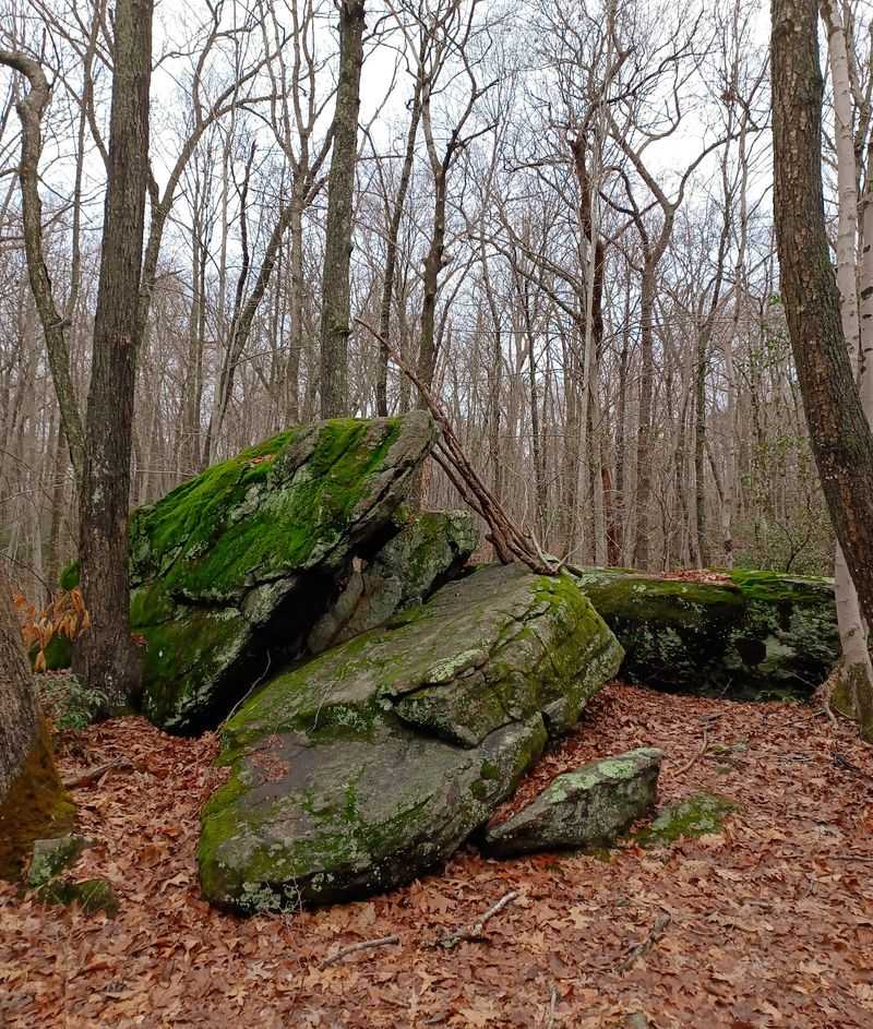 Rocks Along The Path Tell A Glacial Story