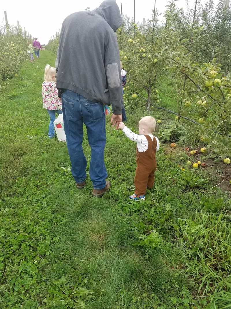 Hop On The Hay Wagon And Go Find Your Own Apples