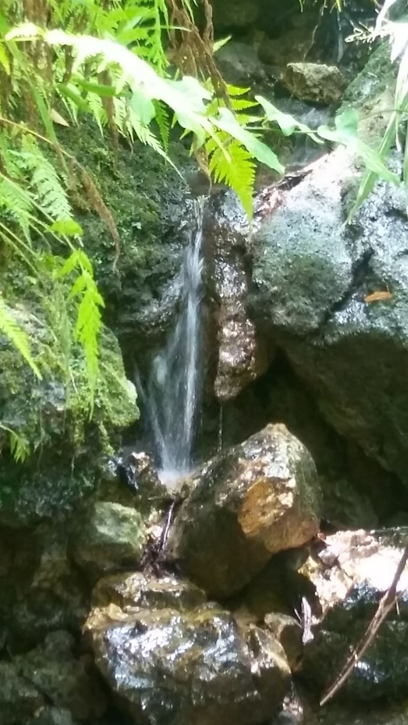 Waterfalls That Rise and Fall With the Rain