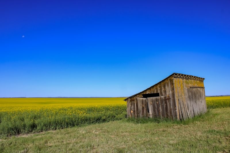 About 3,300 People Live In This Idaho Prairie Town Where Grain Elevators Tower Over Main Street - Decor Hint The Farm Hall Hiding Inside The Town Name