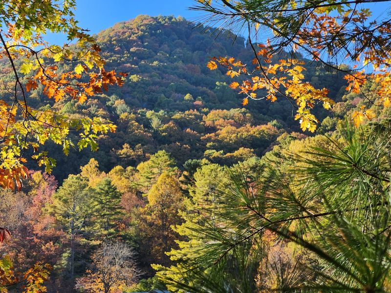 Bear Hair Gap Trail Brings The Big Views