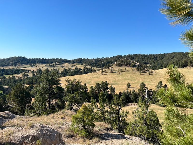 Wild Land With A Purpose Behind It