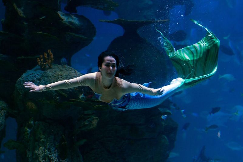 Yes, The Mermaids Are Real, And Yes, It Is Free