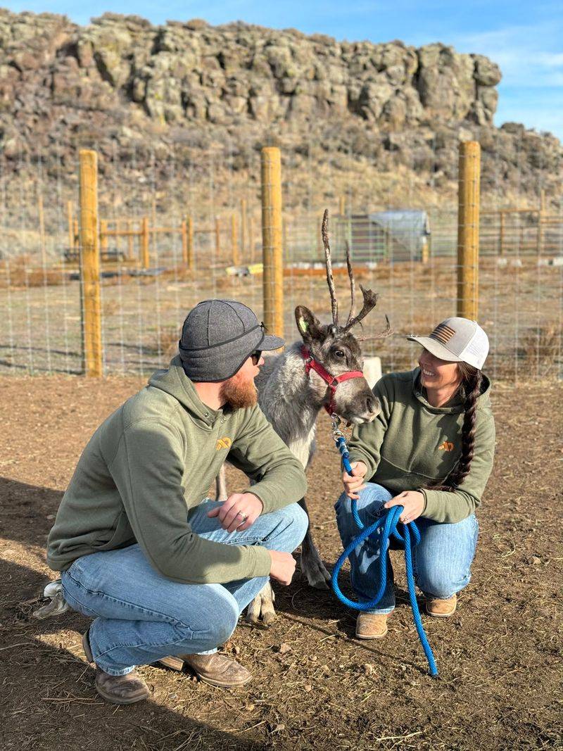 How One Family Traded A Fresh Start For A Herd Of Reindeer