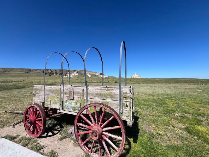Stuffed Rattlesnakes, Wagon Packing, And A Sense Of Humor