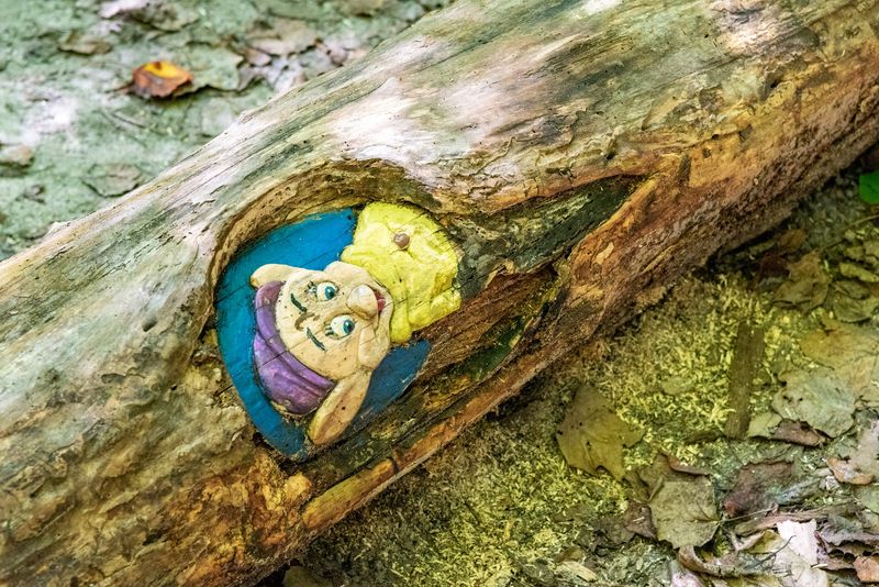 Grab The Map Because These Characters Love To Hide