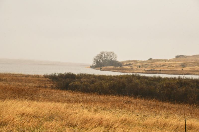 Before You Drive Out Know That Nebraska's Sandhills Hold A Lake Where Bison Wade At Dusk - Decor Hint The Bison Live Next Door, And That Works In Your Favor