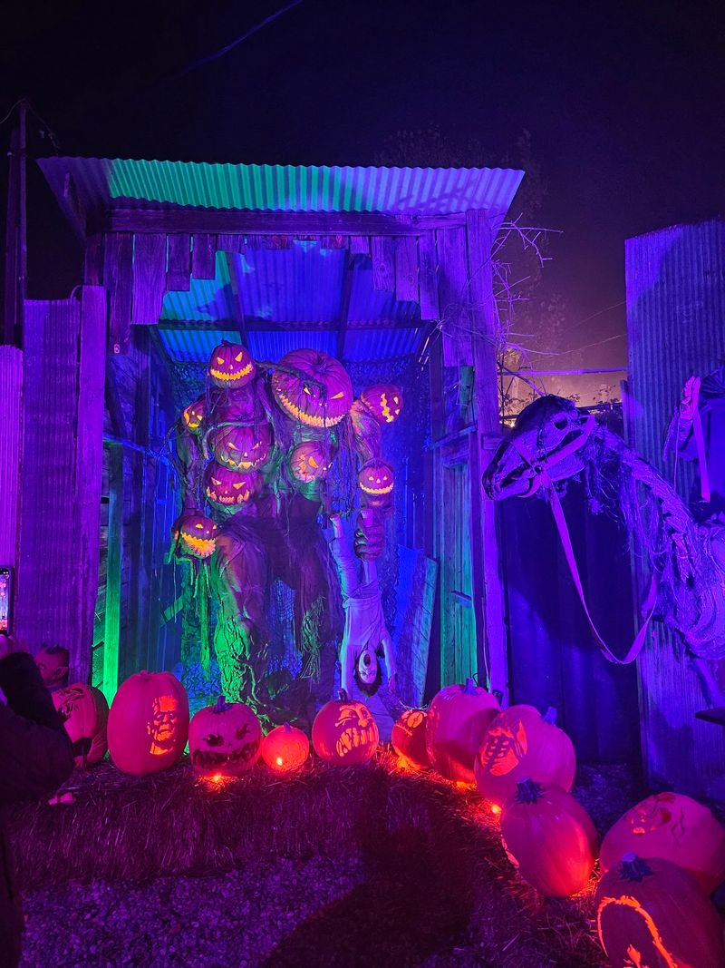 Riding The Trick R Treat Hayride