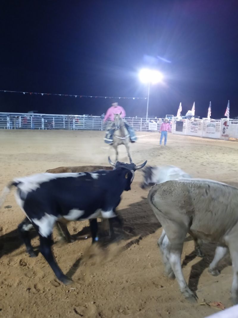 Georgia’s Long-Running Rodeo Tradition Is Hiding In A Small Rural Town - Decor Hint Stick Around For The Slack