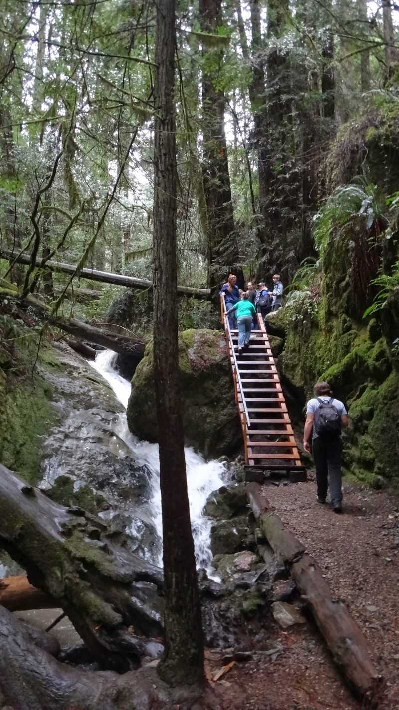 California’s November Hike Of The Month Is A Scenic Trail Worth Exploring Before Winter Arrives - Decor Hint Yes, There Really Is A Ladder In The Middle Of The Woods