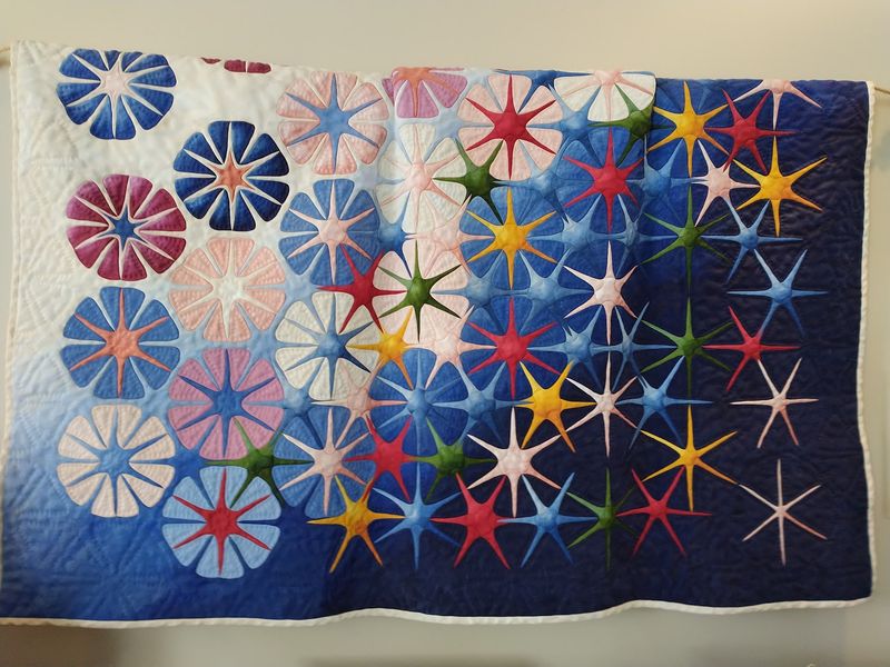 The Wooden Quilt That Fools Everyone