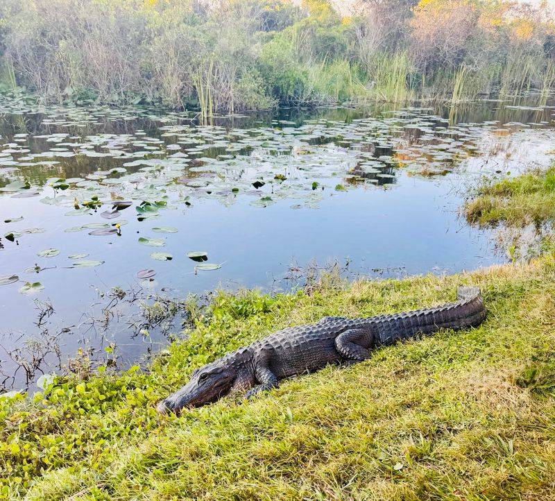 Fifteen Flat Miles Of Pavement And Prehistoric Neighbors