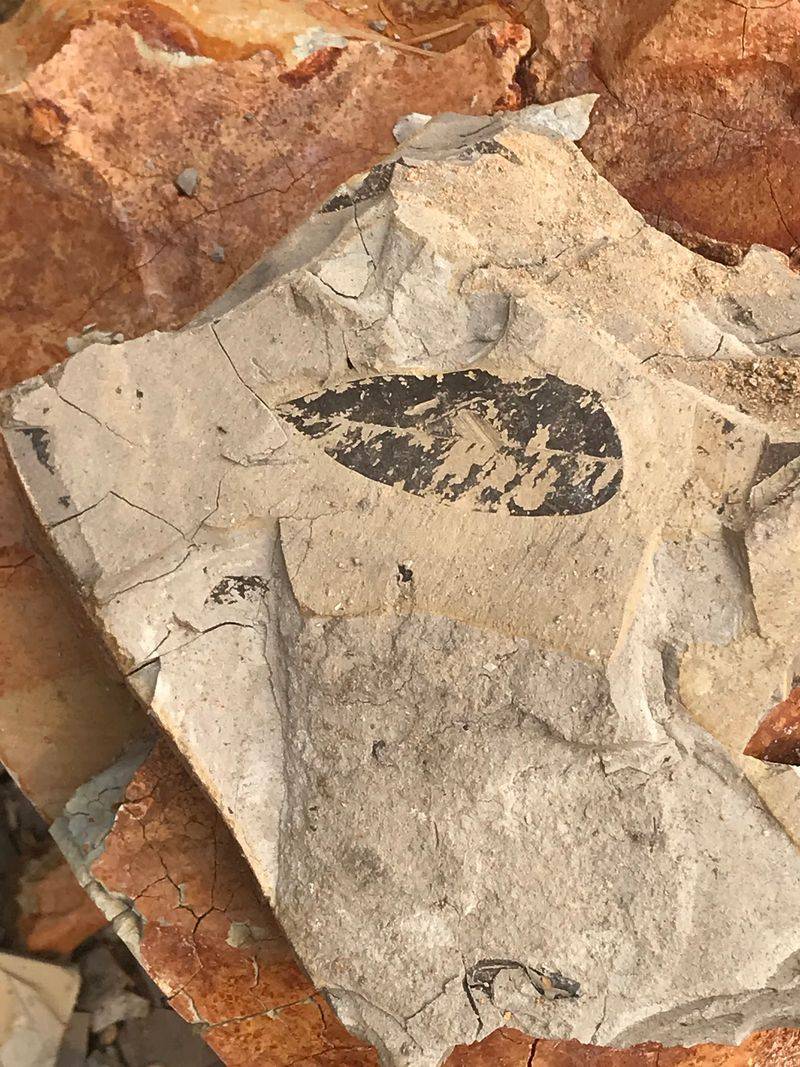 Splitting Clay Like Book Pages