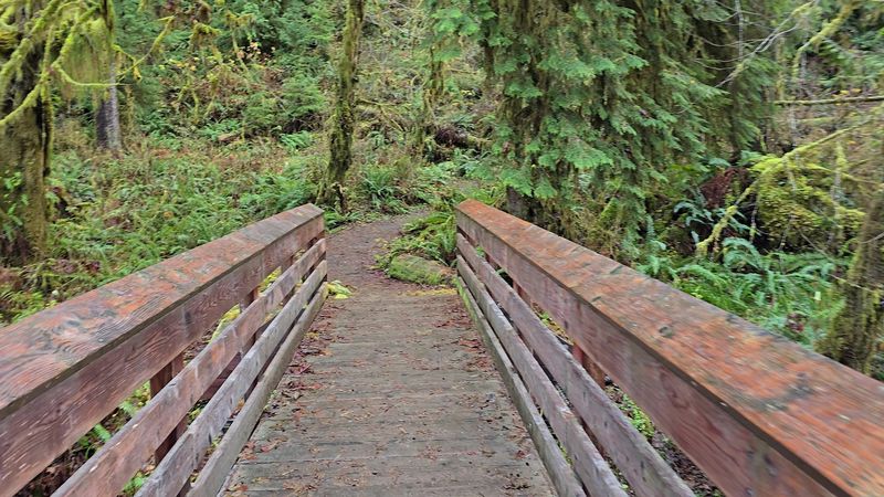 The Path Moved, And The Adventure Came Along