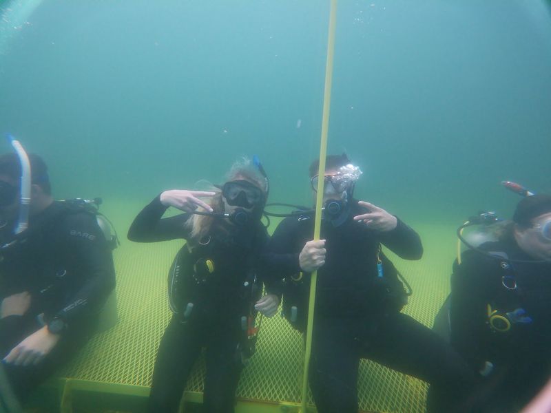 An Airplane Joins The Underwater Graveyard Of Unexpected Wrecks