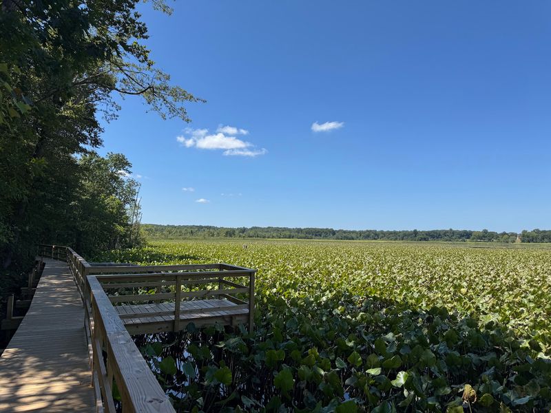 Nothing Beats A Hike Through This Peaceful 1,700-Acre Maryland Sanctuary - Decor Hint Know The Schedule Before You Lace Up